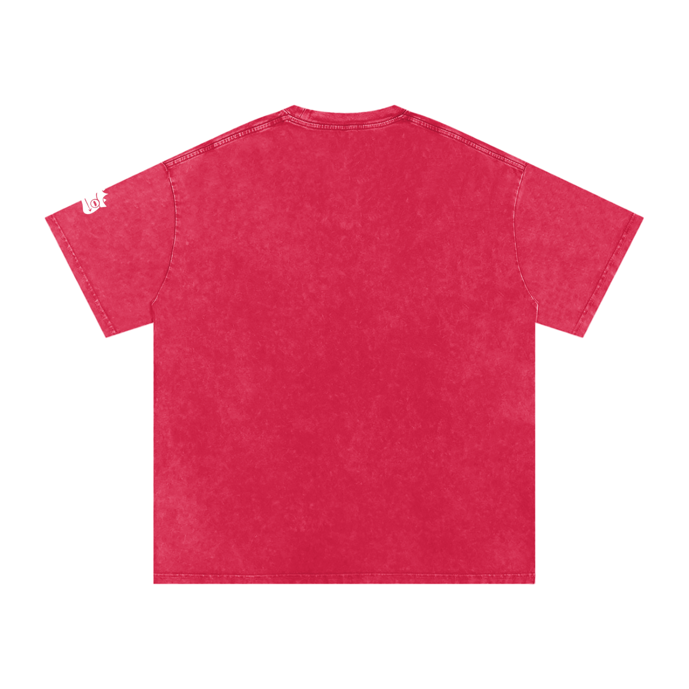 Snow Washed Basic Logo Tee