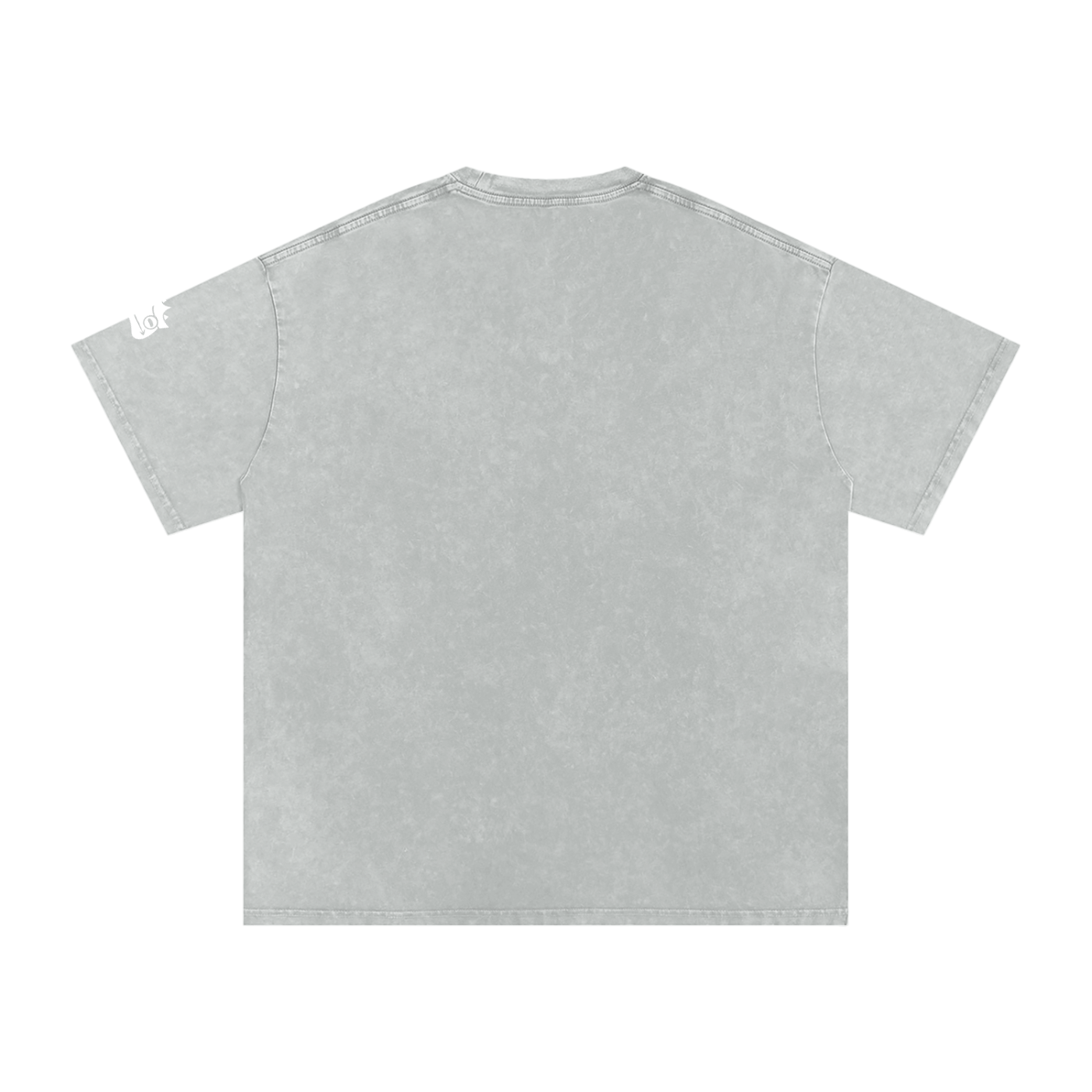 Snow Washed Basic Logo Tee